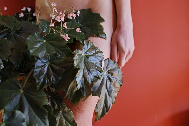 ...as her wind is our sacred blossom... фото превью