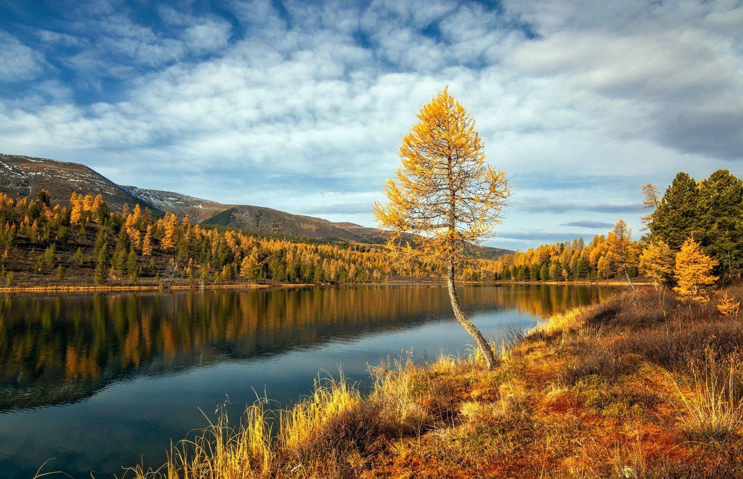 горный алтай,улаганский район,озеро кок-кёль, lora_pavlova