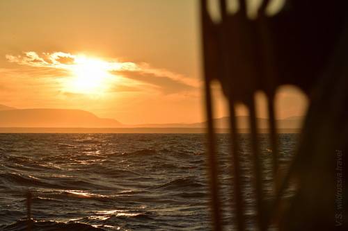 Яхтенная экспедиция на Северные Курилы (из альбома, август 2020 г)