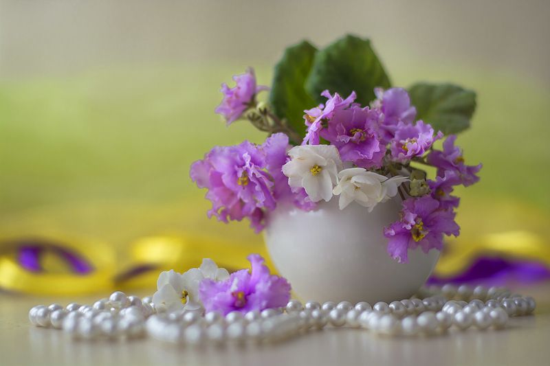 натюрморт с сенполиями,весна,букет,цветы,художественное фото,искусство. Букетик сиреневых сенполий фото превью