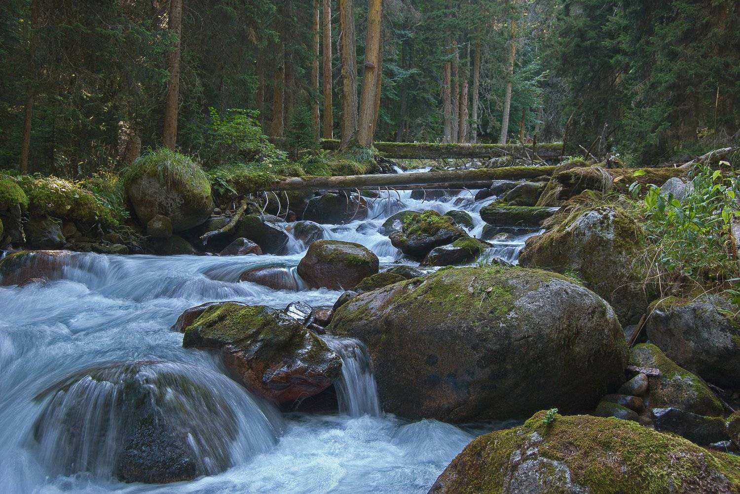кчр, горы, река, бадук, теберда, Максим