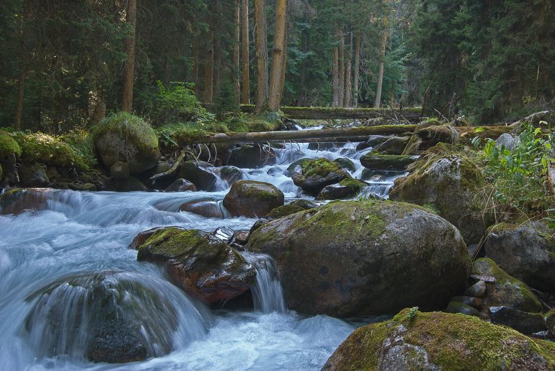 кчр, горы, река, бадук, теберда Бадук фото превью
