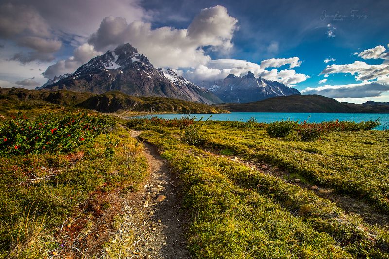 Cerro Paine. Patagonia. фото превью