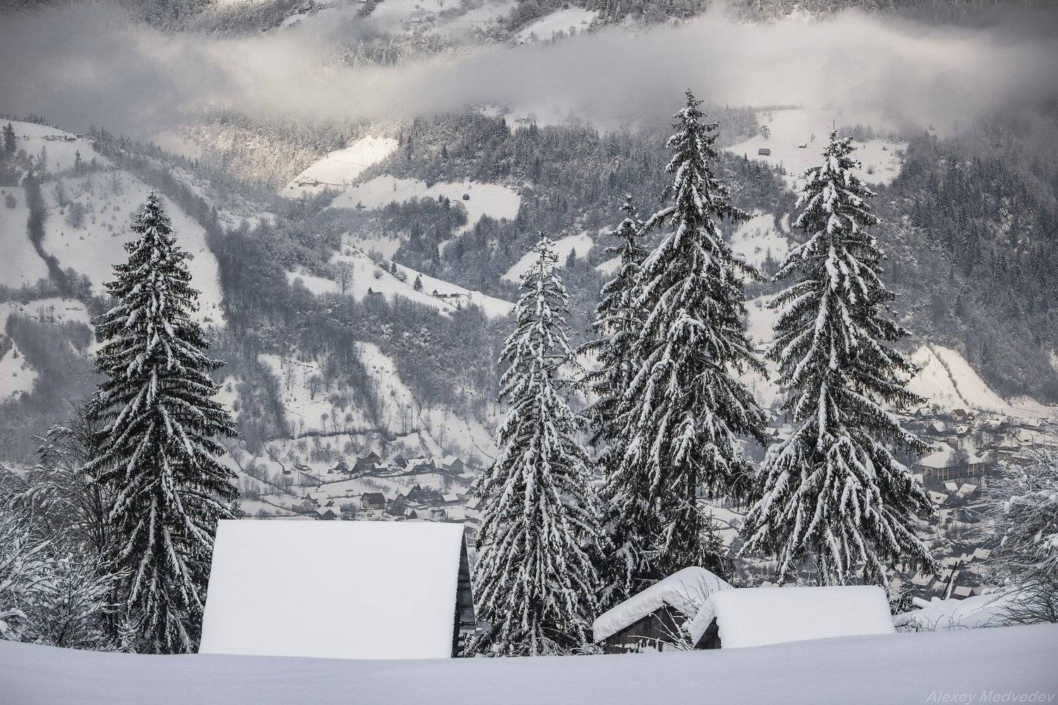 гори, закарпаття, зима, карпати, свидовець, смереки, сутінки, лопухів, лопухов, усть чорна, карпаты, хатки, село, долина, Алексей Медведев