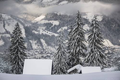 В ожидании праздников