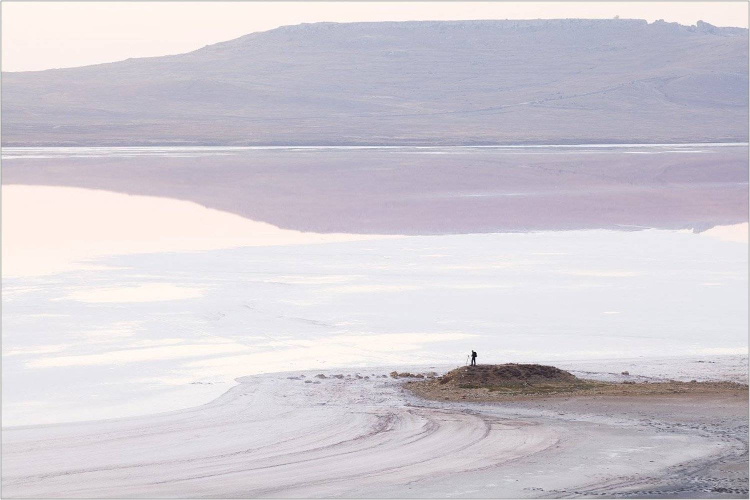 , Алексей Пучков