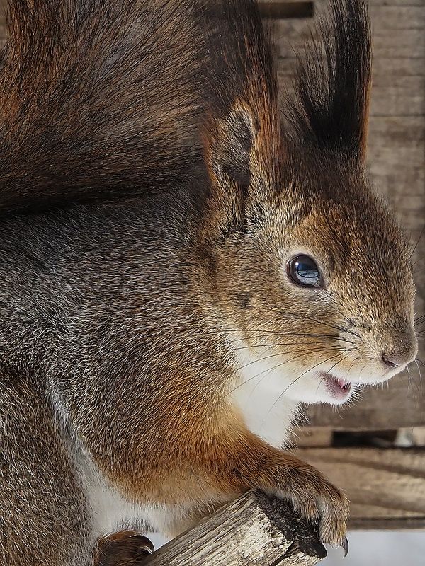 улыбочку, Вас снимают фото превью