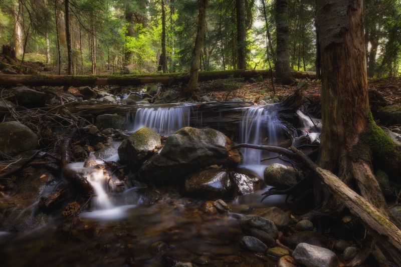 пейзаж, горы, кавказские горы, природа россии, архыз, горная река Прохлада в знойный день фото превью