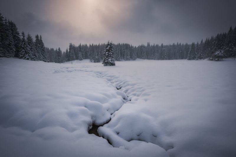 #landscape#nature#winter Soft winter фото превью