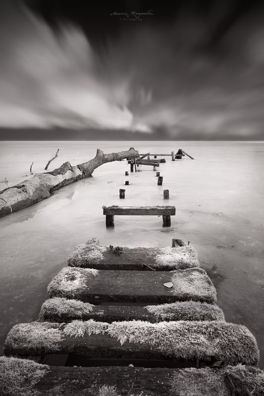 In the morning B&W фото превью