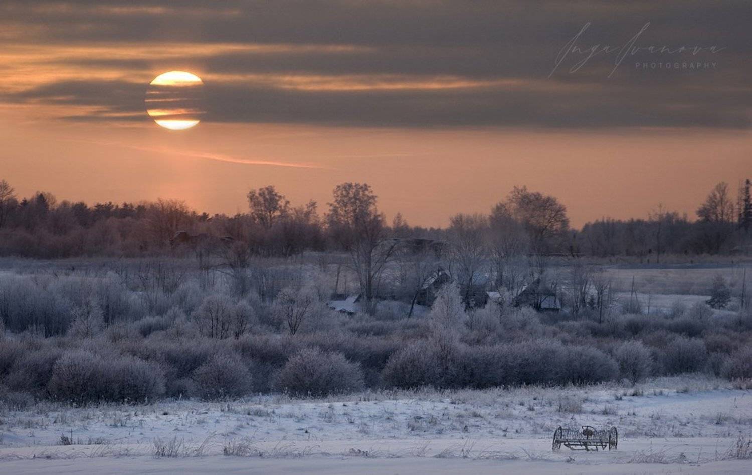 , Инга Иванова