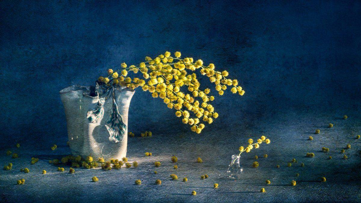 мимоза, Игорь Копцев