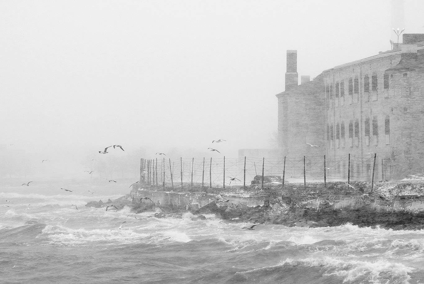 , Александр Абросимов