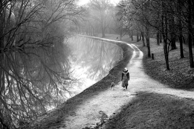 b/w, perspective Опять весна фото превью