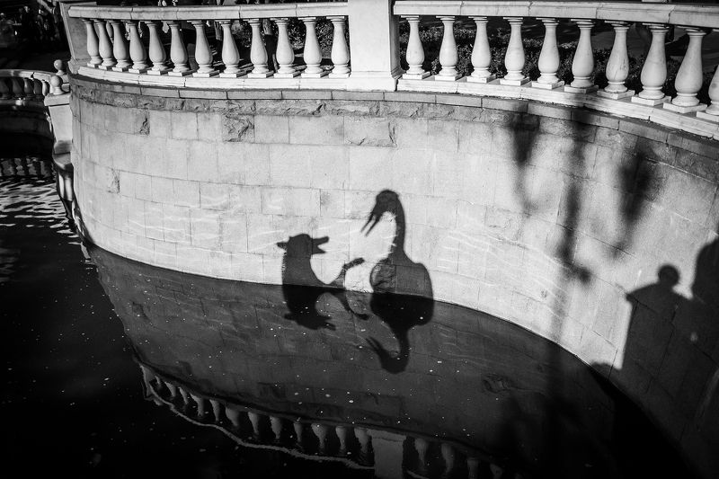 тени, абстракция, чб, чернобелое, пейзаж, сюжет, shadows, moment, cityscape Диалог. фото превью