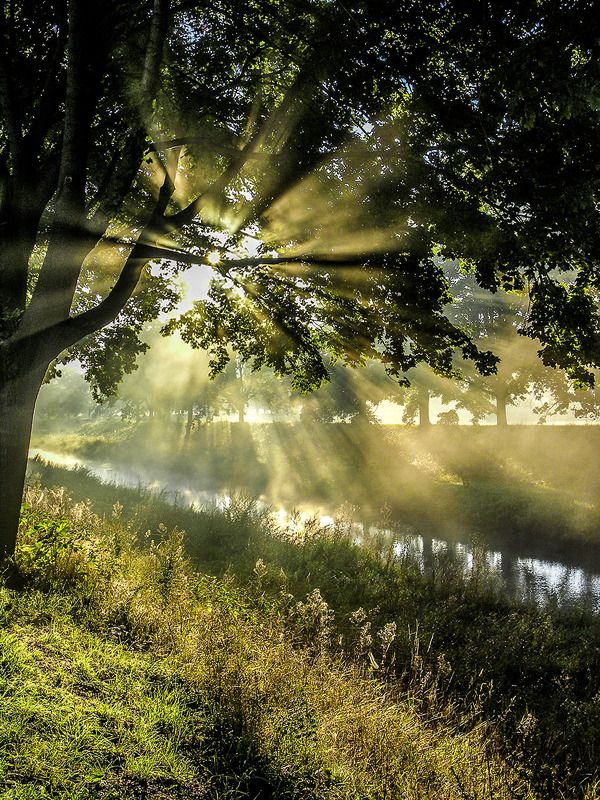 Утро на реке (Мандау). фото превью