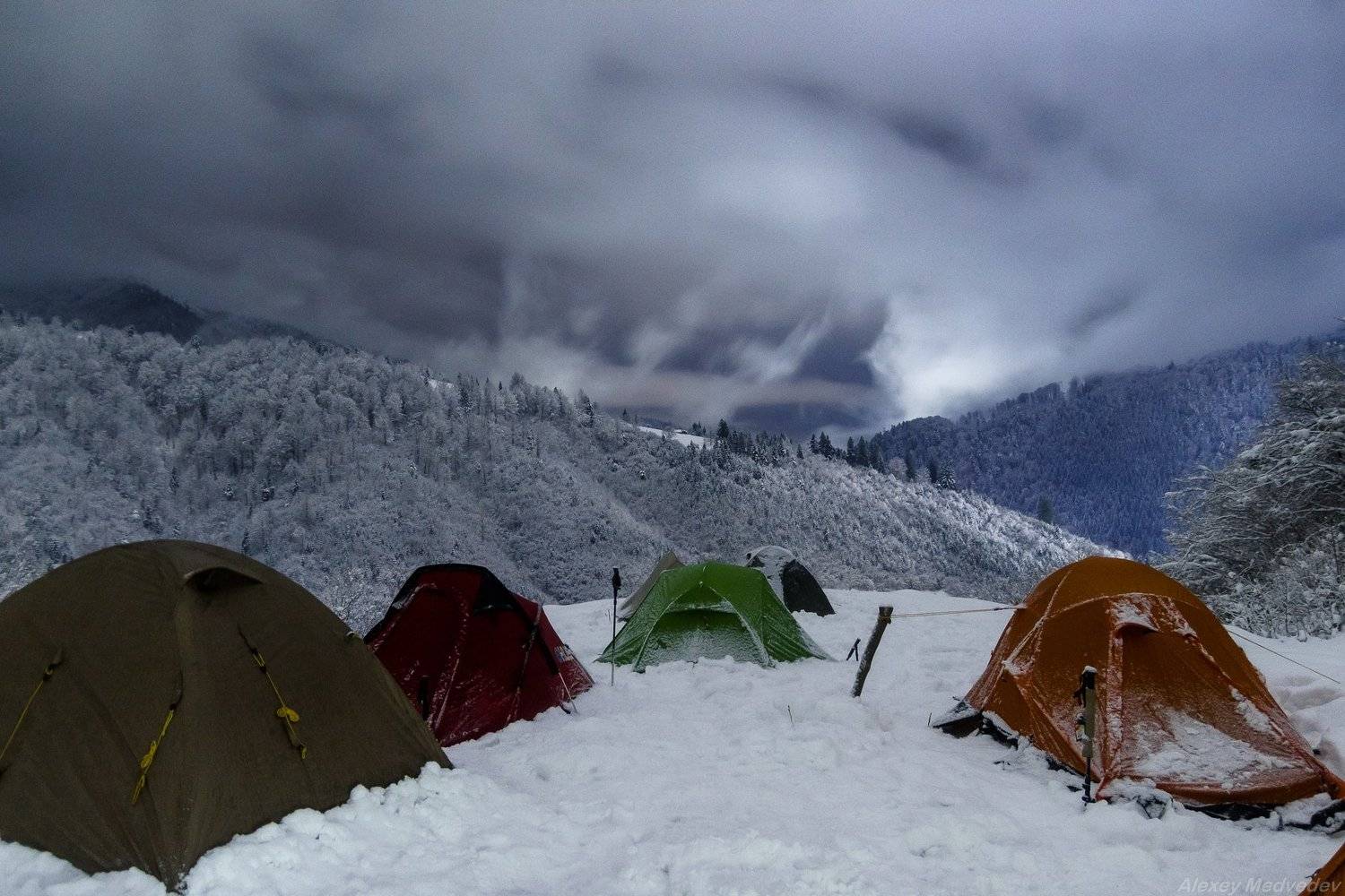 гори, закарпаття, зима, карпати, свидовець, смереки, сутінки, лопухів, лопухов, усть чорна, карпаты, хатки, село, долина, Алексей Медведев