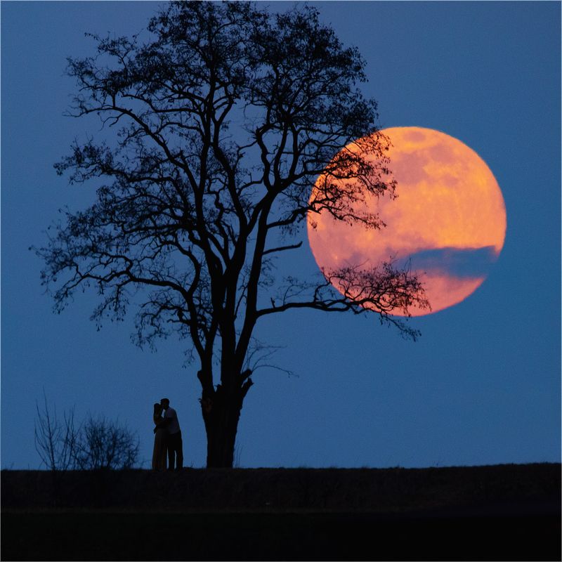 Moon lovers фото превью