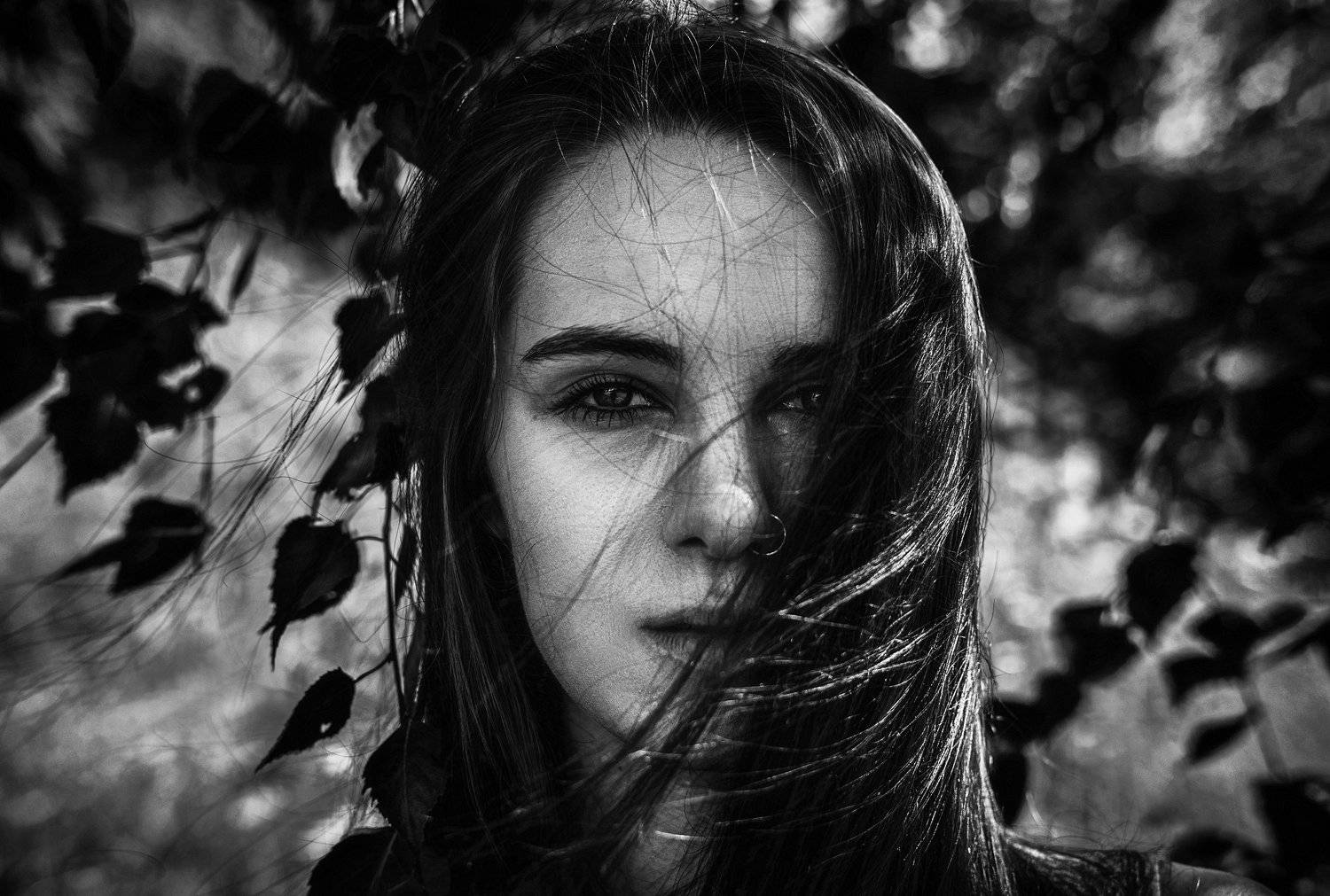 Windswept. Автор: Виталий Шевченко , Виталий Шевченко