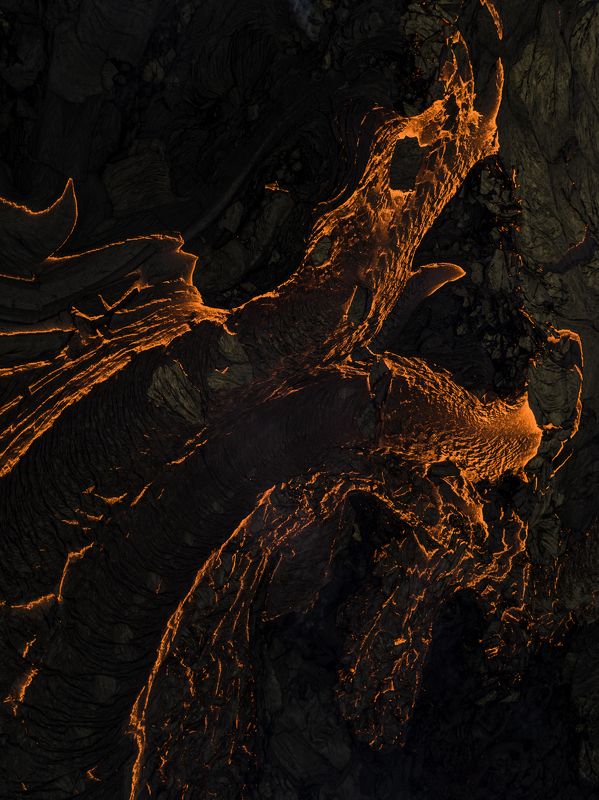 fire turtle... фото превью