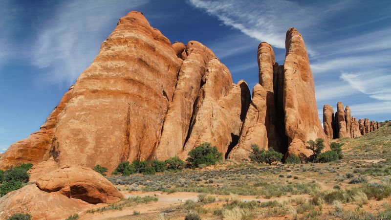 Очередь на водопой фото превью
