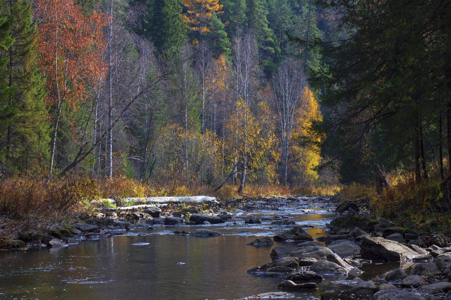 пейзаж, природа, осень, река, горная река, Южный Урал, Республика Башкортостан, лес, горы, Александр Кожухов