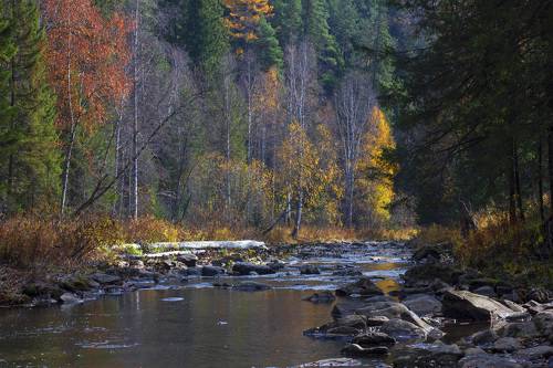 Осень на горной реке