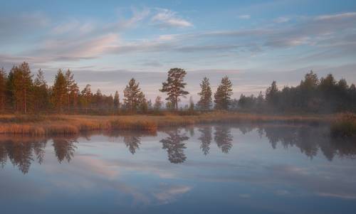 В отражении