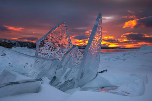 Расправляя крылья
