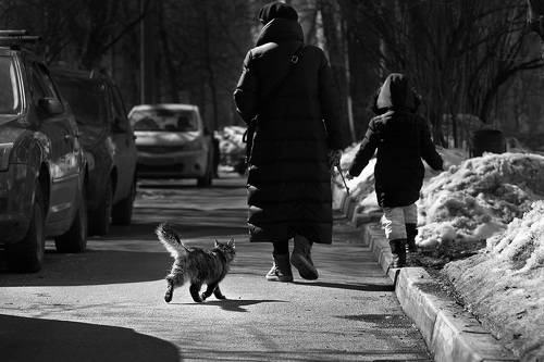 Весна пришла