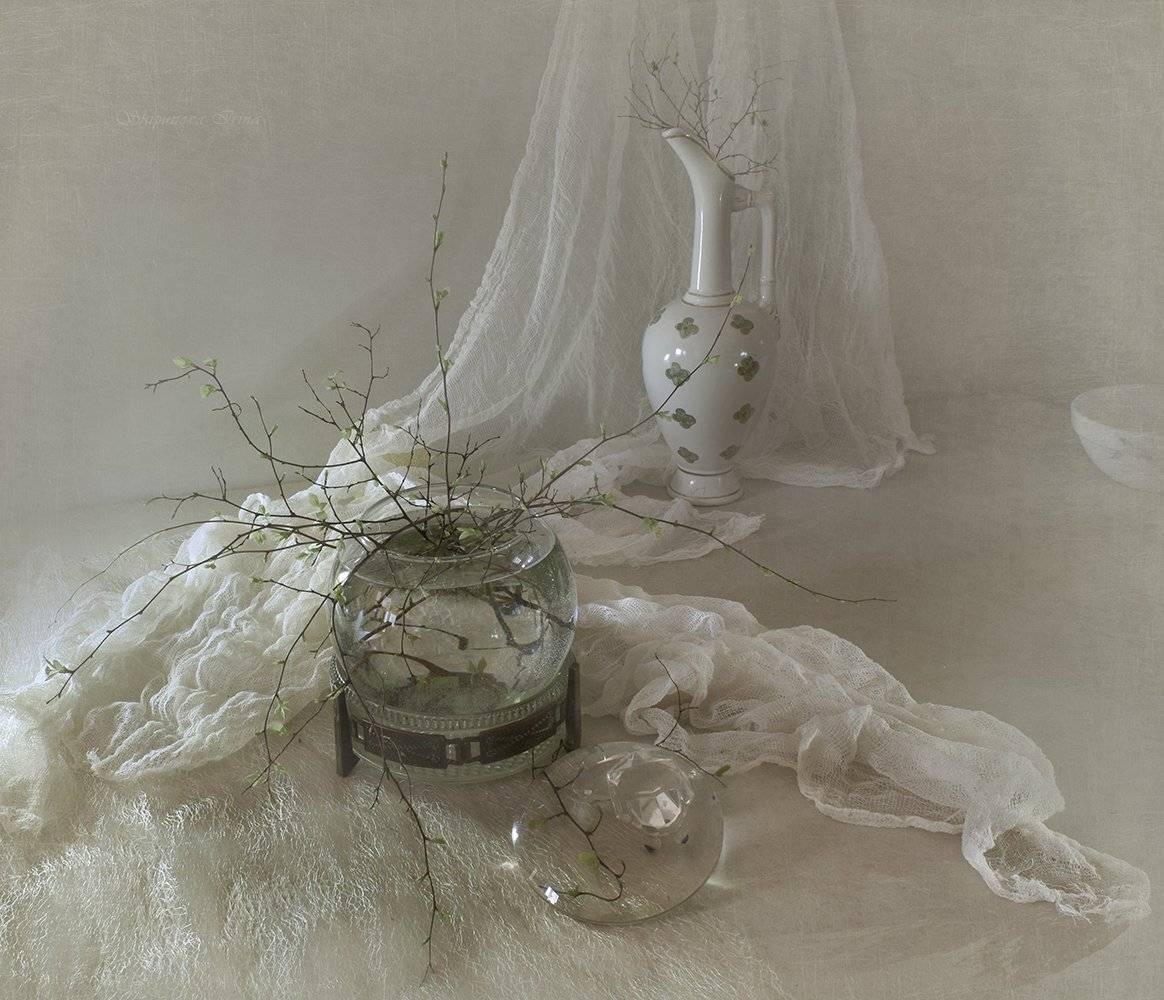 , Шипунова Ирина