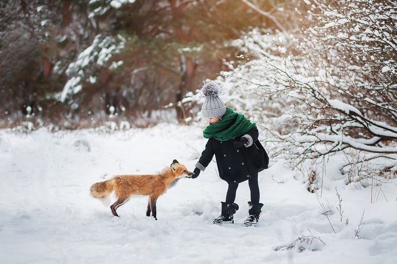 зима, лиса, девочка, лес, снег, портрет, милый *** фото превью