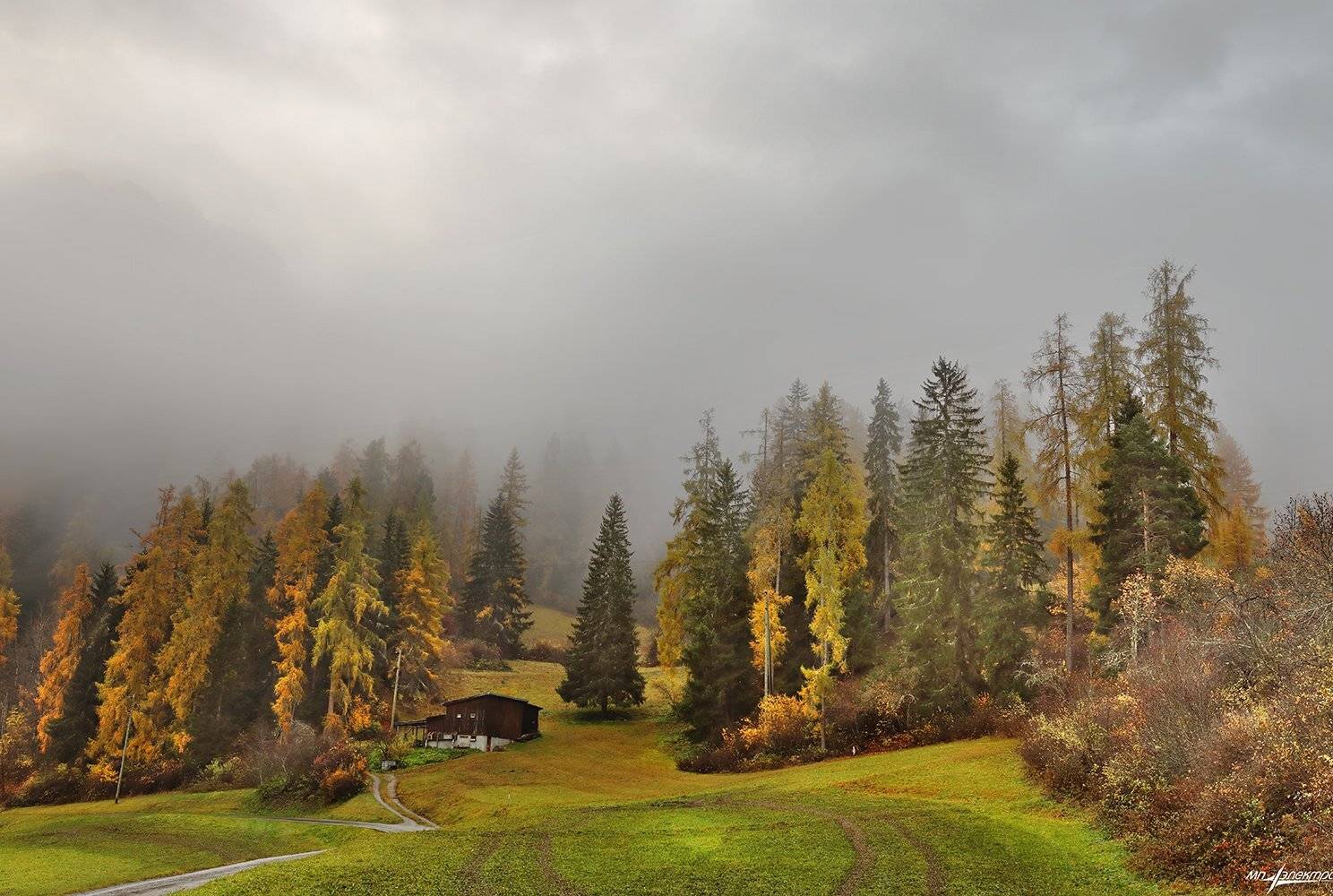 swiss, Матвеев Николай