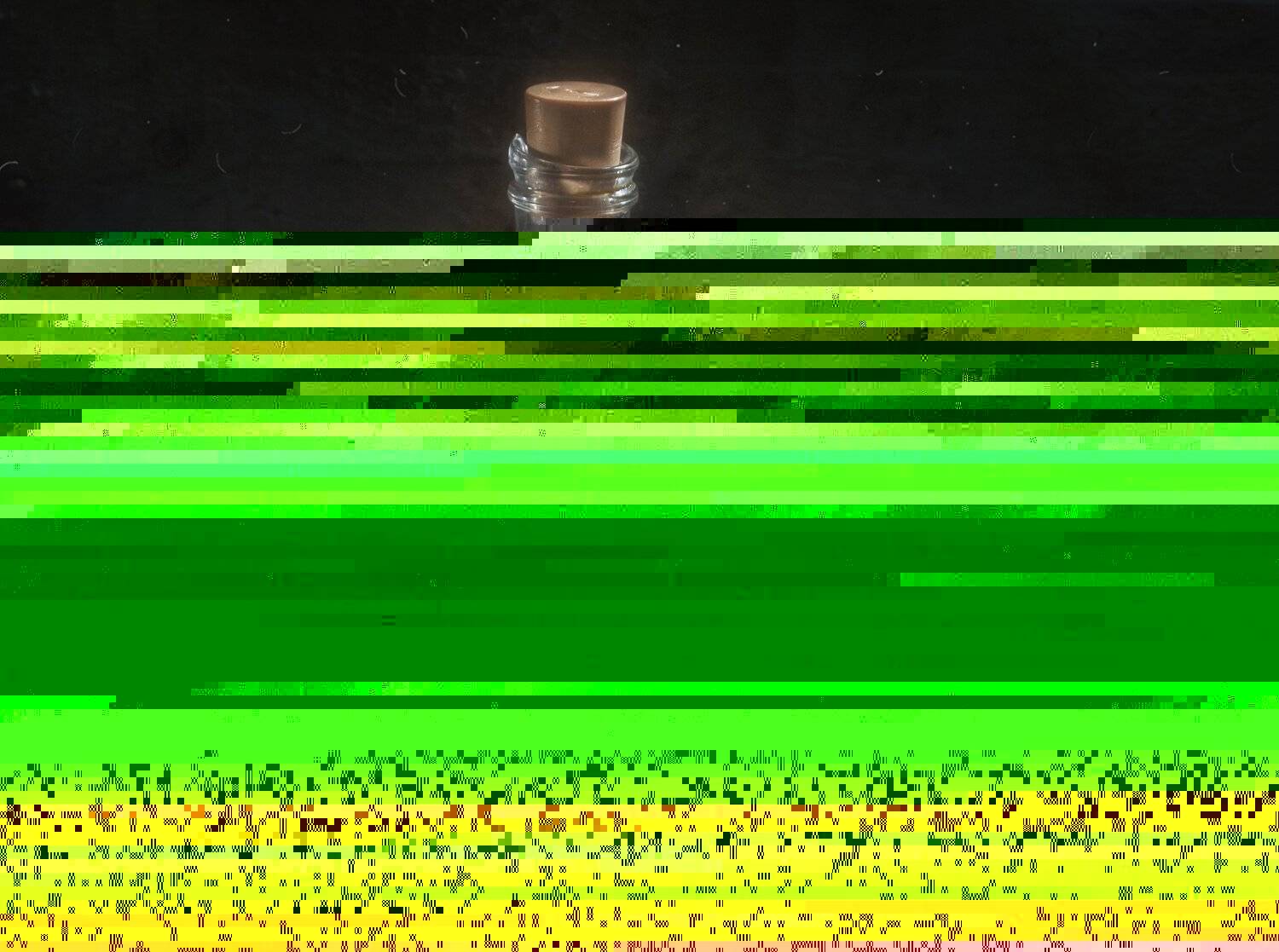 фрукты,сироп,бутылка,яблоко,груши,травы,орехи,тёмный, Владимир Володин