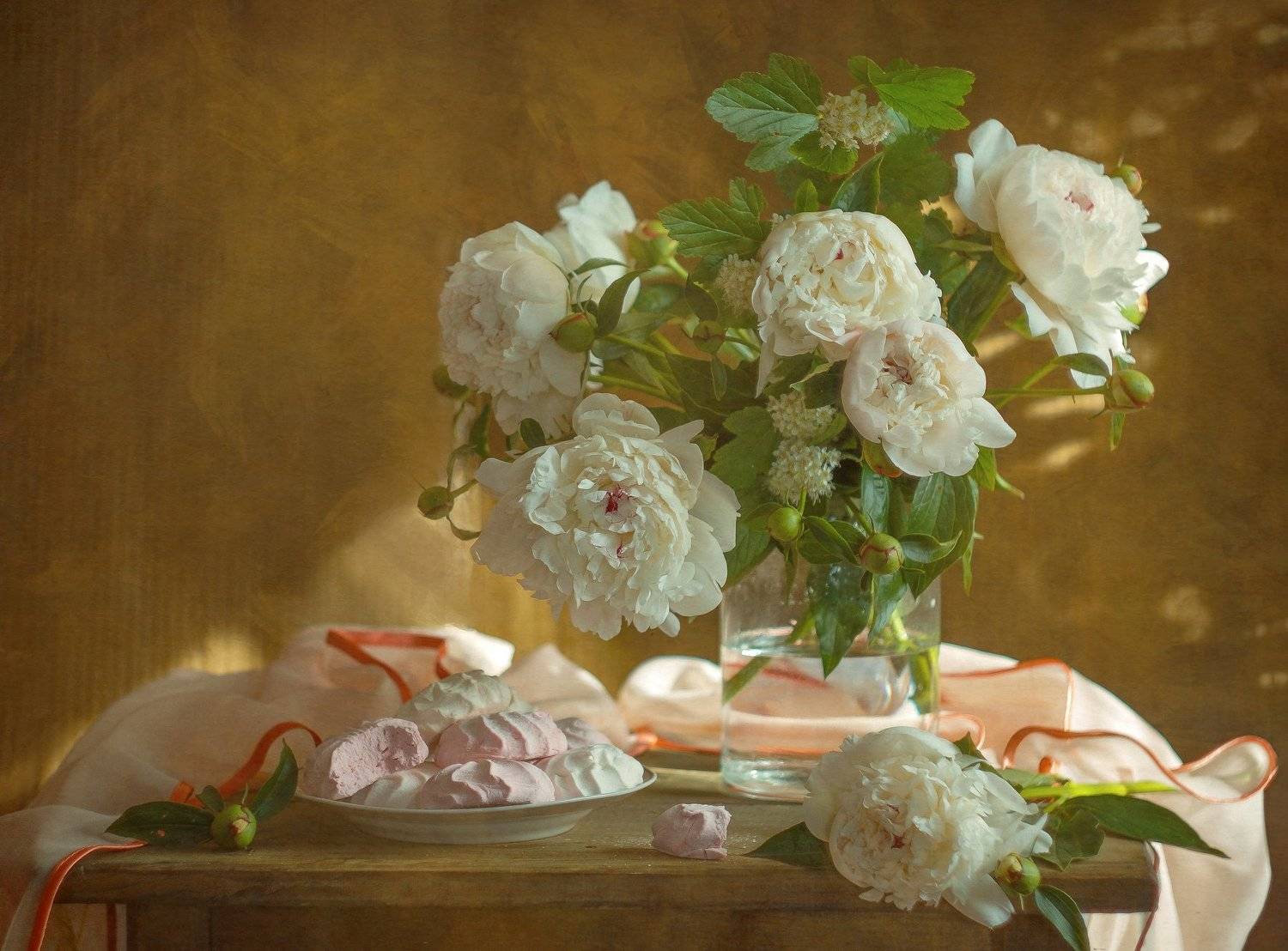 , Светлана Сушкевич