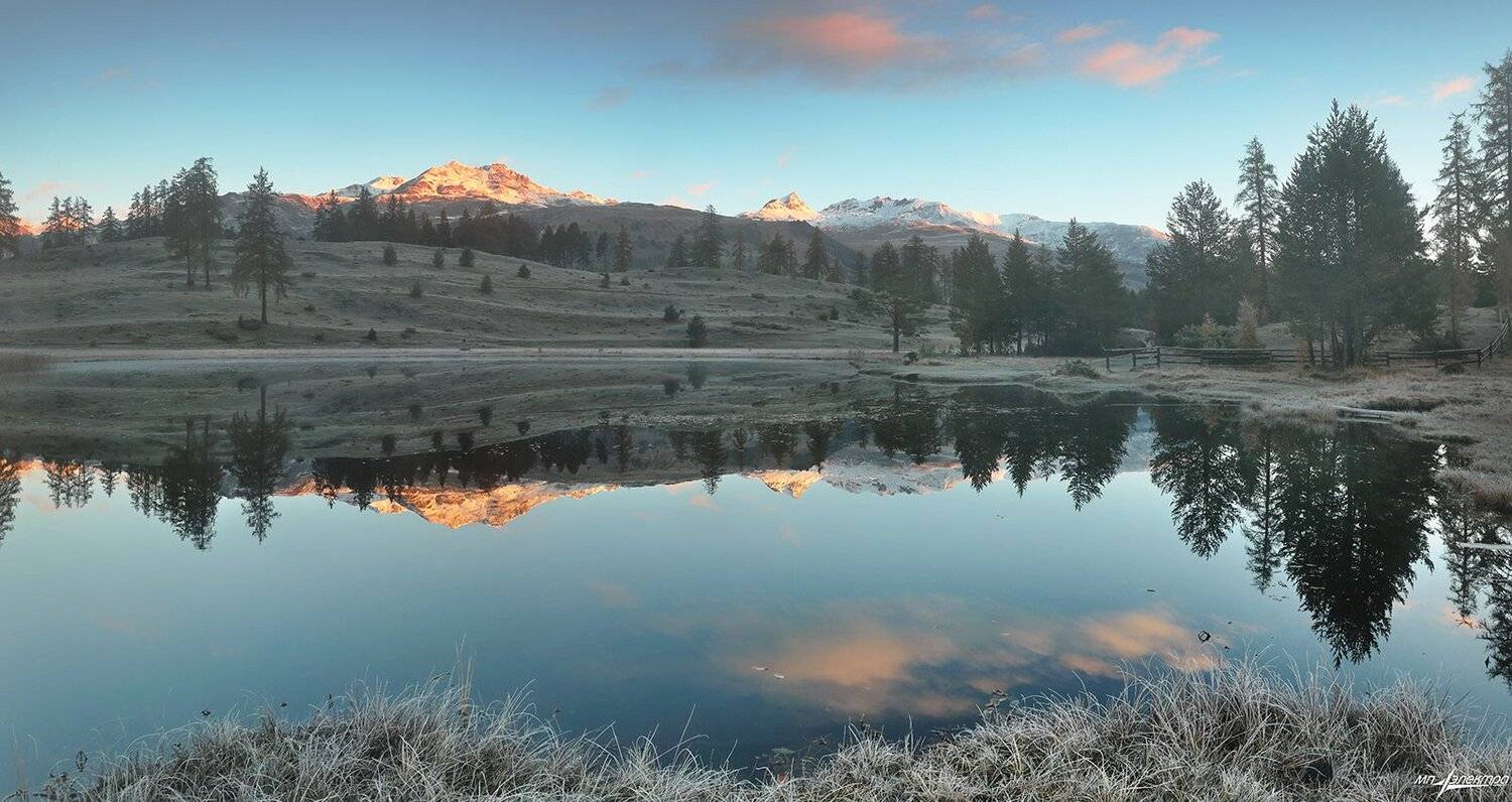 swiss, Матвеев Николай