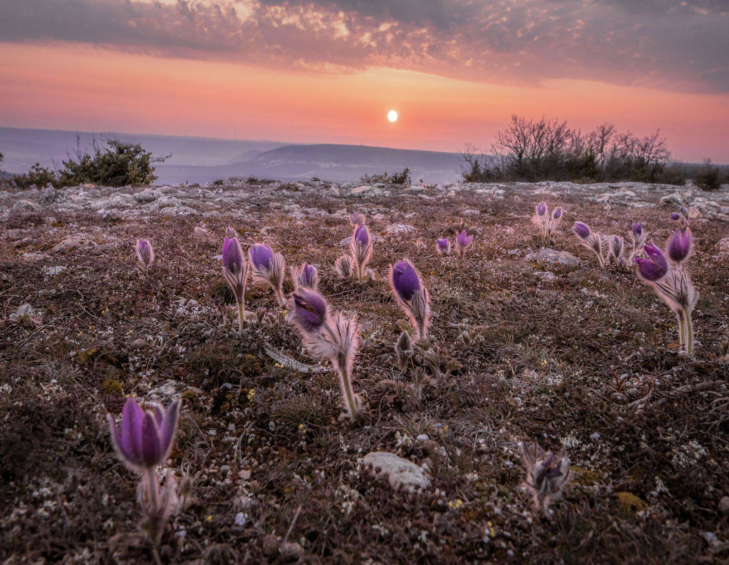 , Игорь Прошаков