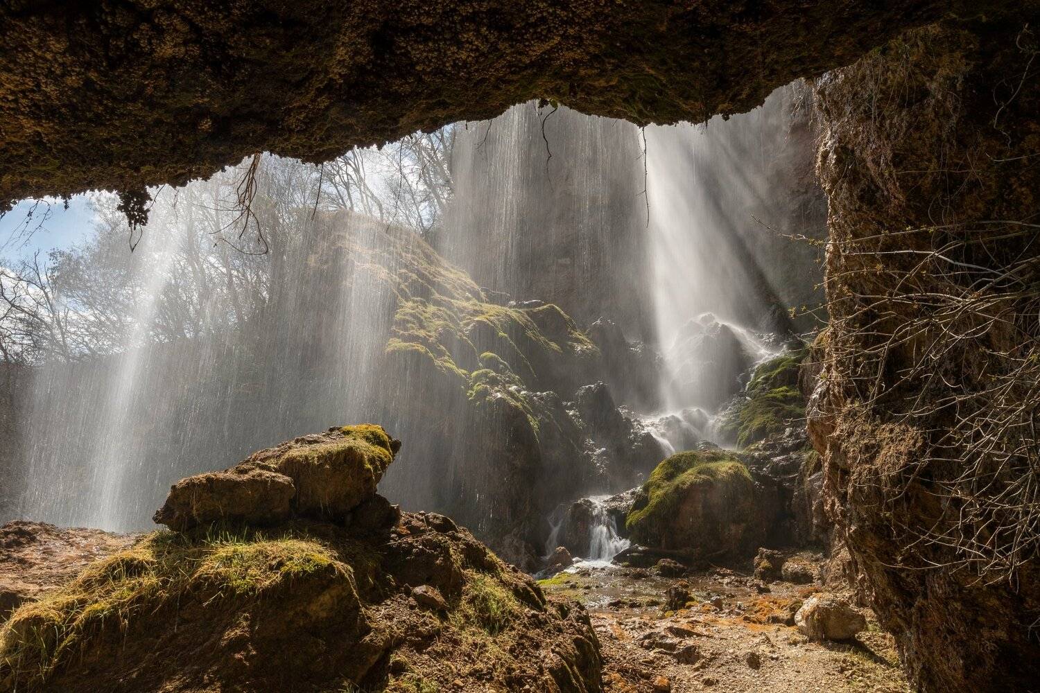 , Александър Сандев