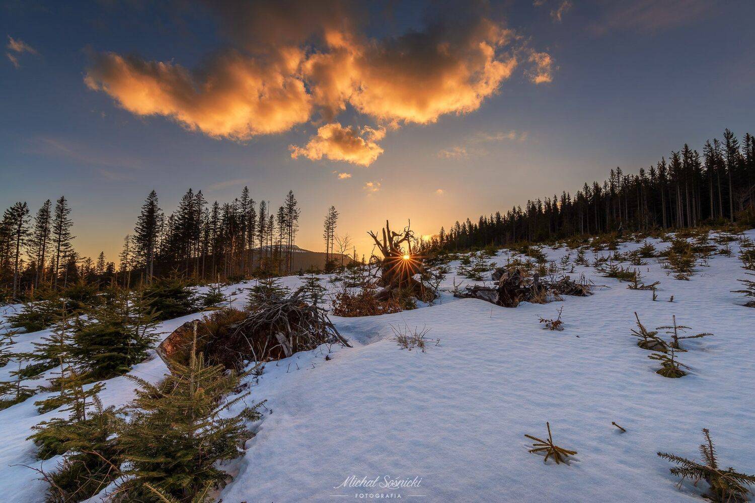 #poland #sunset #tree #sky #moon #pentax #benro #benq #sun #star, Michał Sośnicki