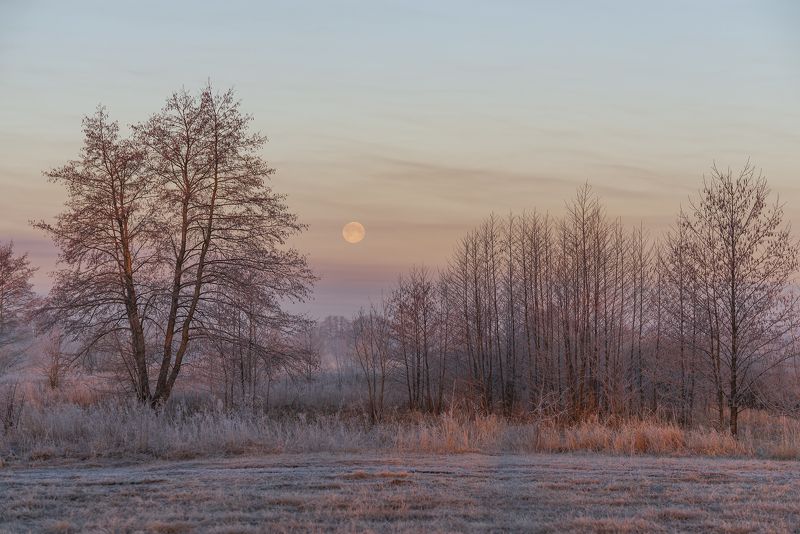 Луна уходящая фото превью