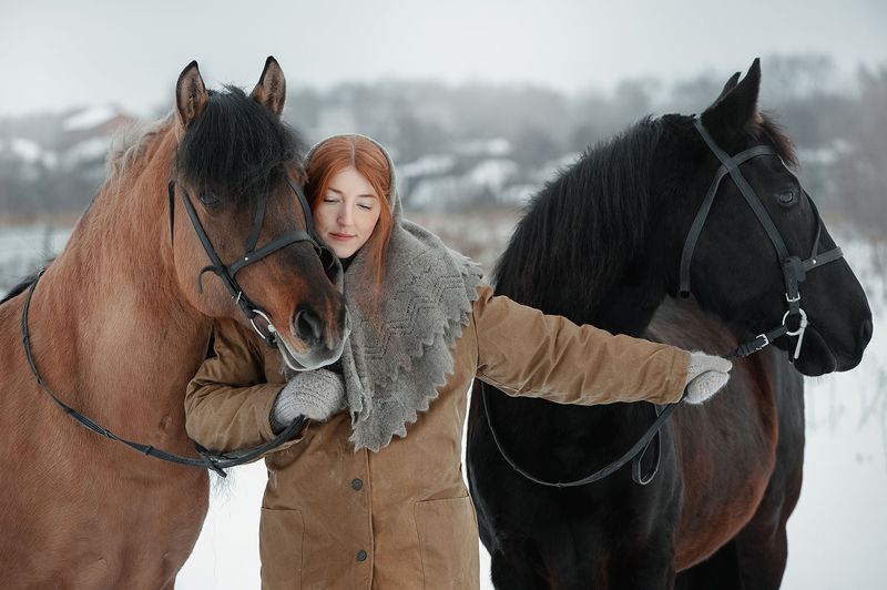 портрет, лошади, зима, конюшня, удмуртия, деревня *** фото превью