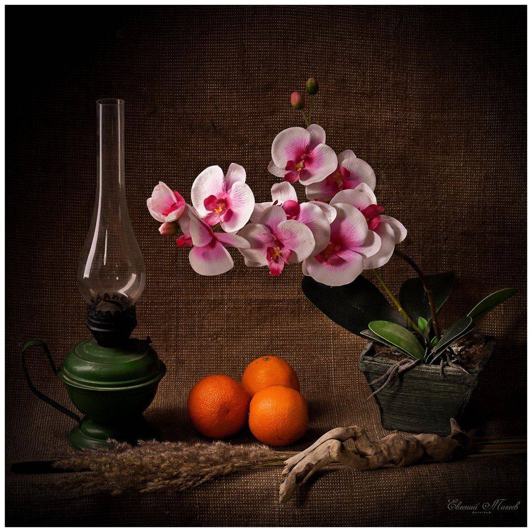 , Евгений Макеев