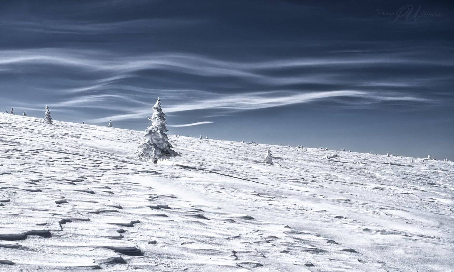 , Иванова Регина