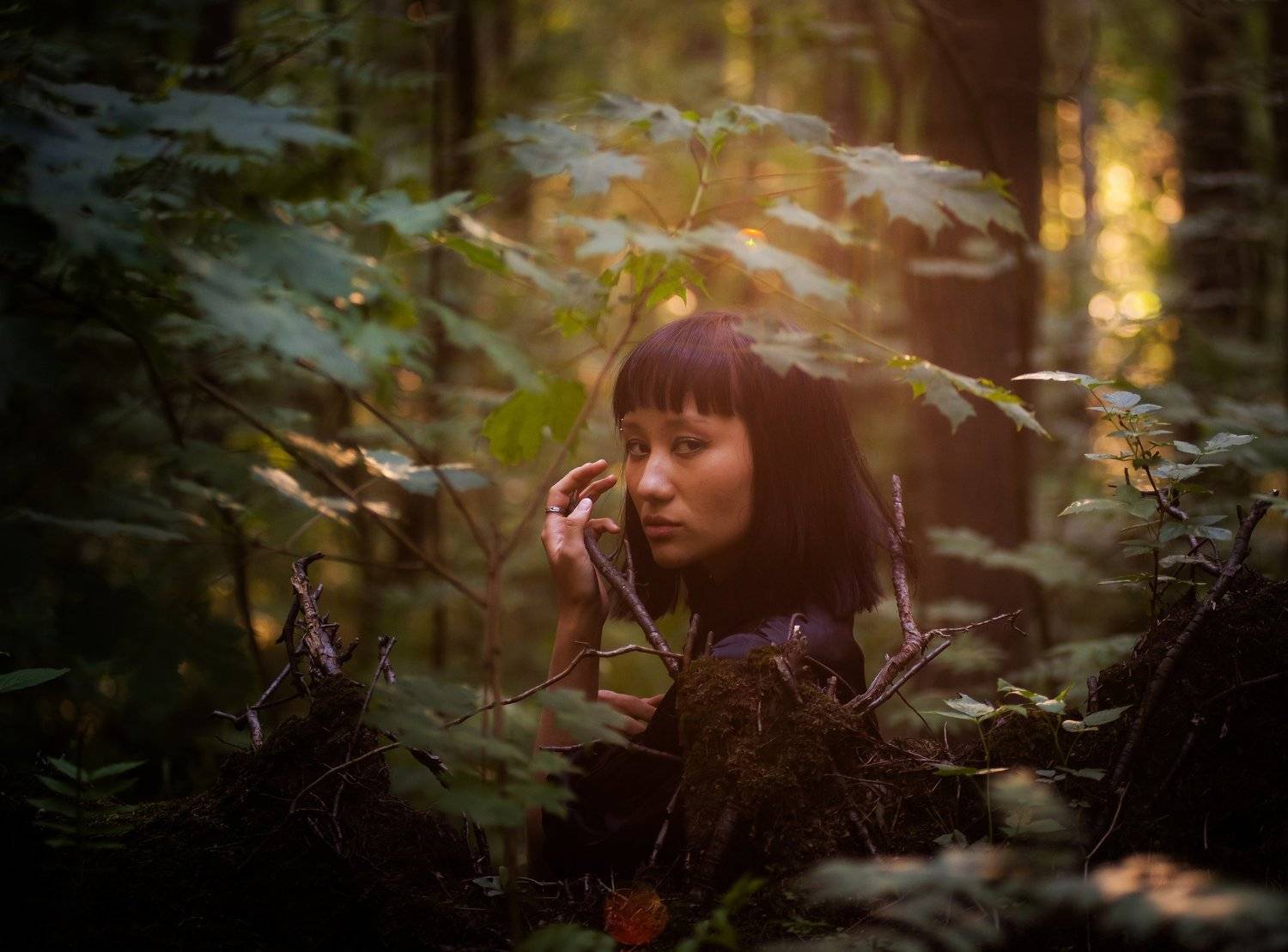 портрет, женский портрет, портретная съемка, девушка, природа, свет, вечер, солнце, portrait, female, Даркина Дарья