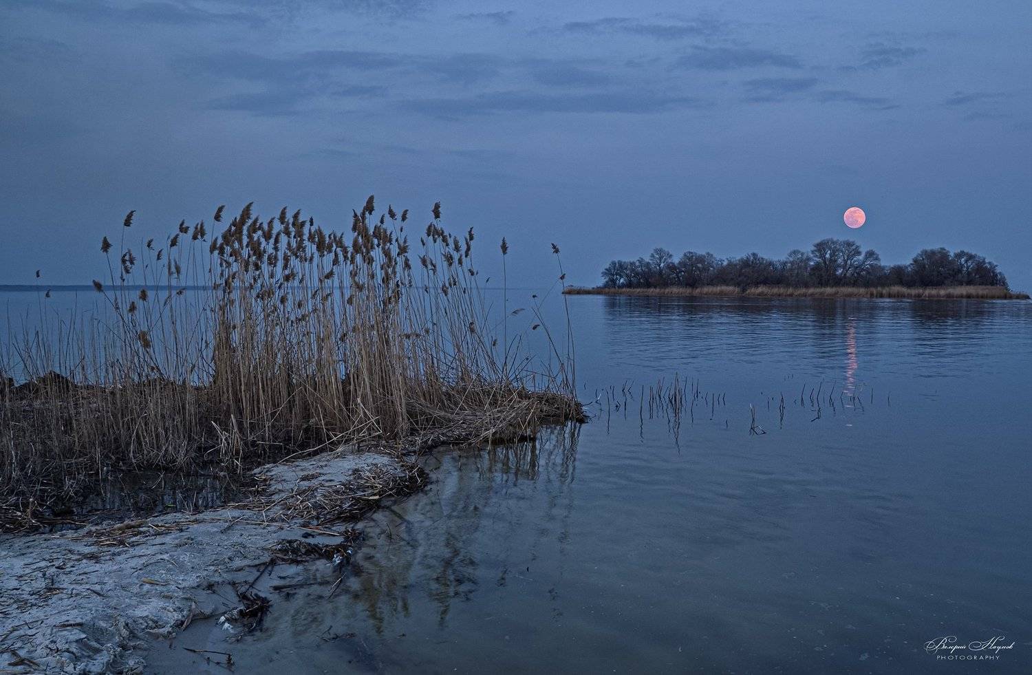 полнолуние, река, восход, март, дорожка, камыш, Валерий Наумов