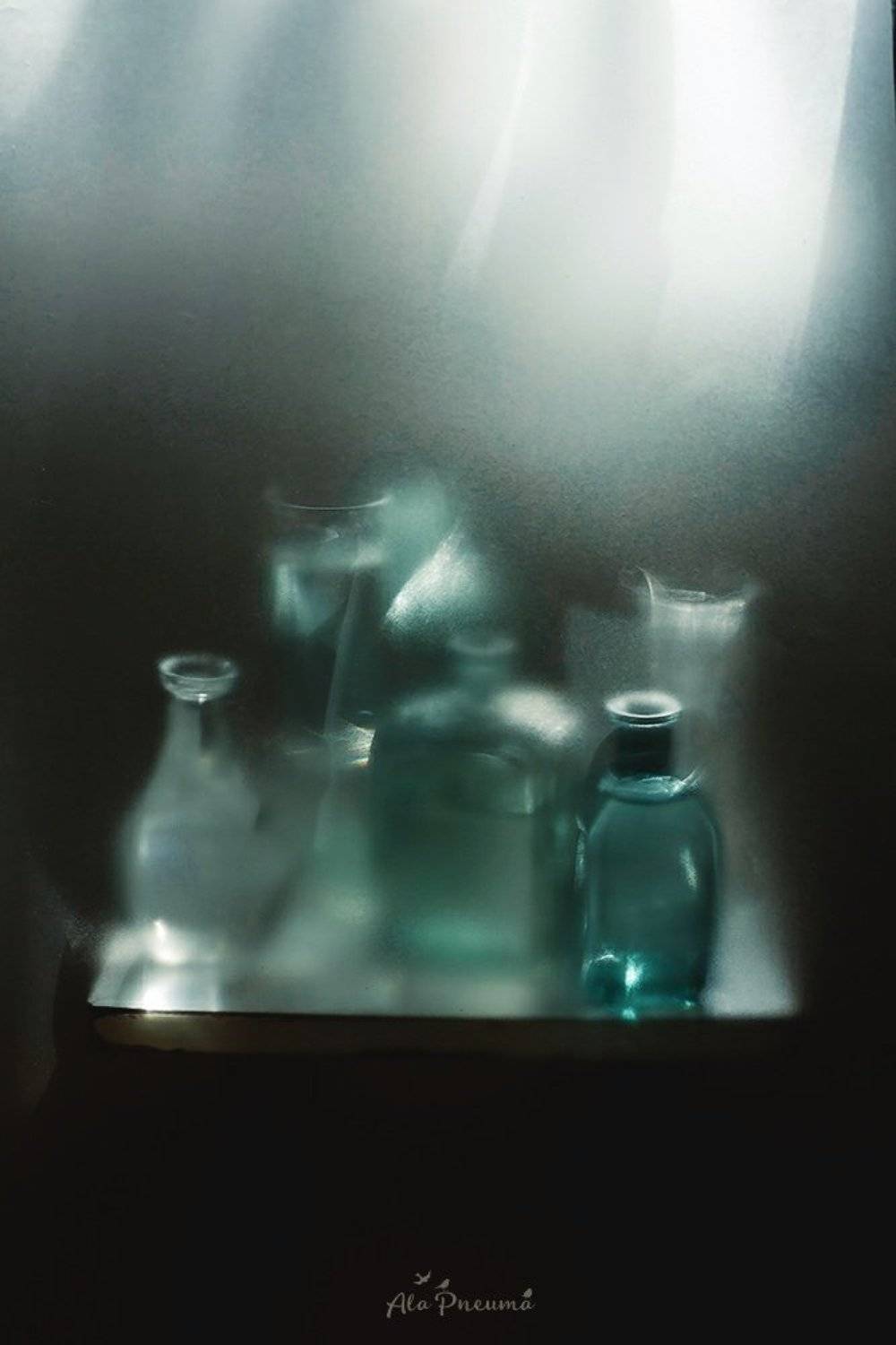 натюрморт, Виктория