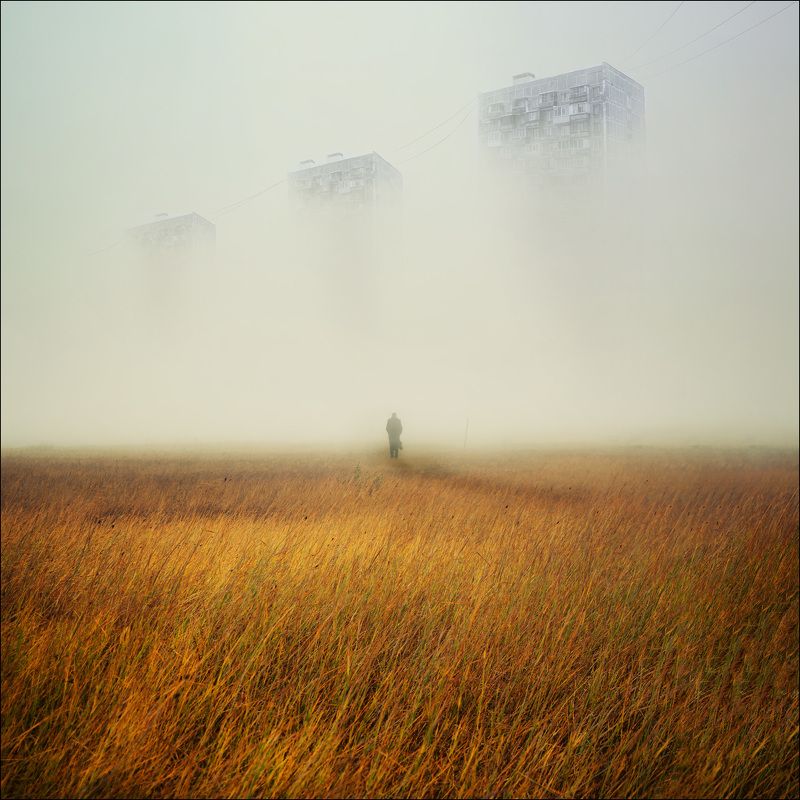 туман, ёжик, лошадка *** фото превью