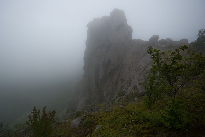 гора змейка, кмв, минеральные воды, туман Августа туман фото превью