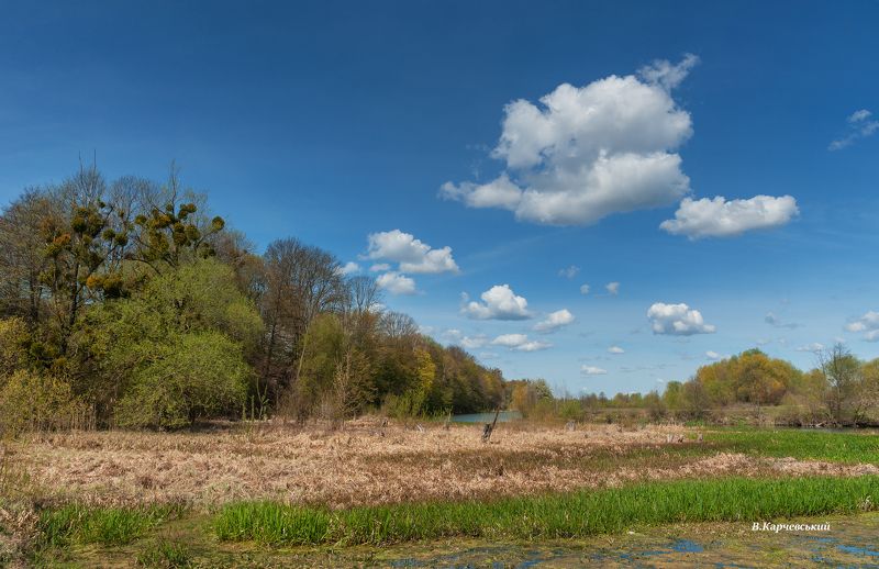 очарована весна... фото превью