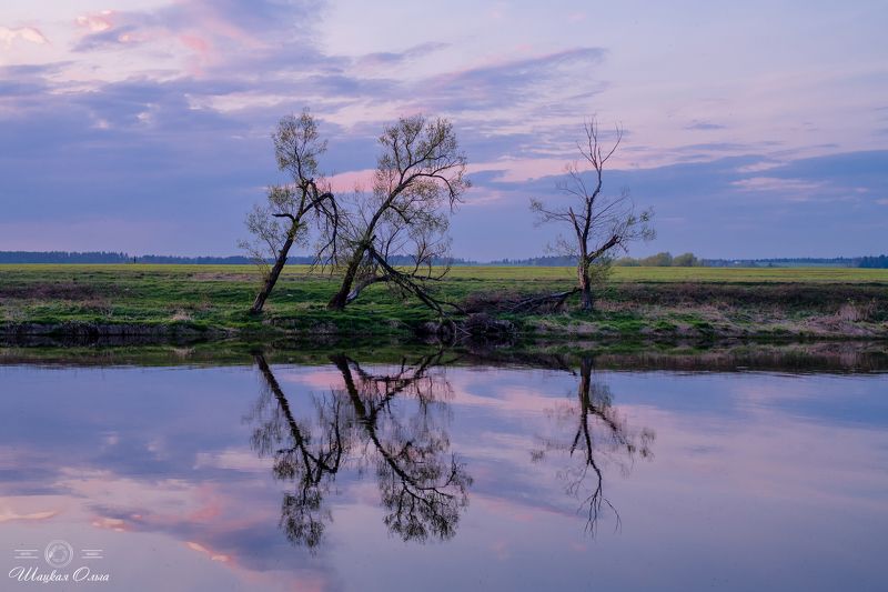 Смеркалось... фото превью
